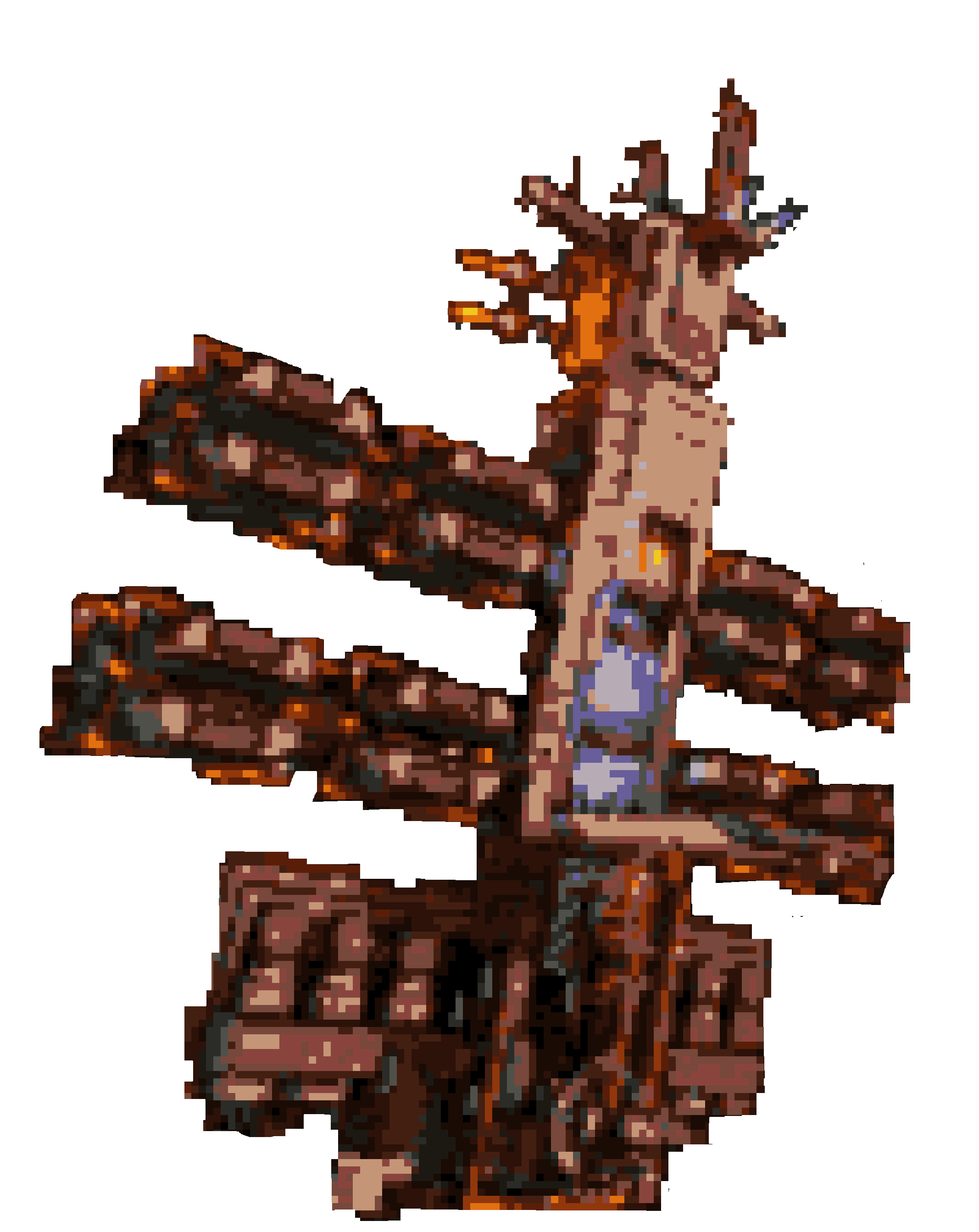 Rorqy